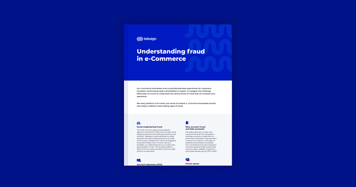 Understanding fraud in e-Commerce 